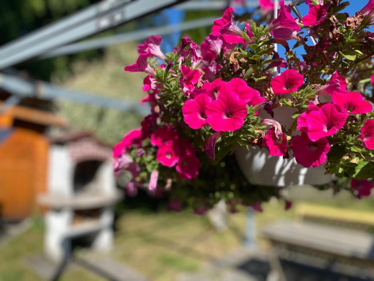 באד טולץ Ferienwohnung Am Franziskanergarten מראה חיצוני תמונה