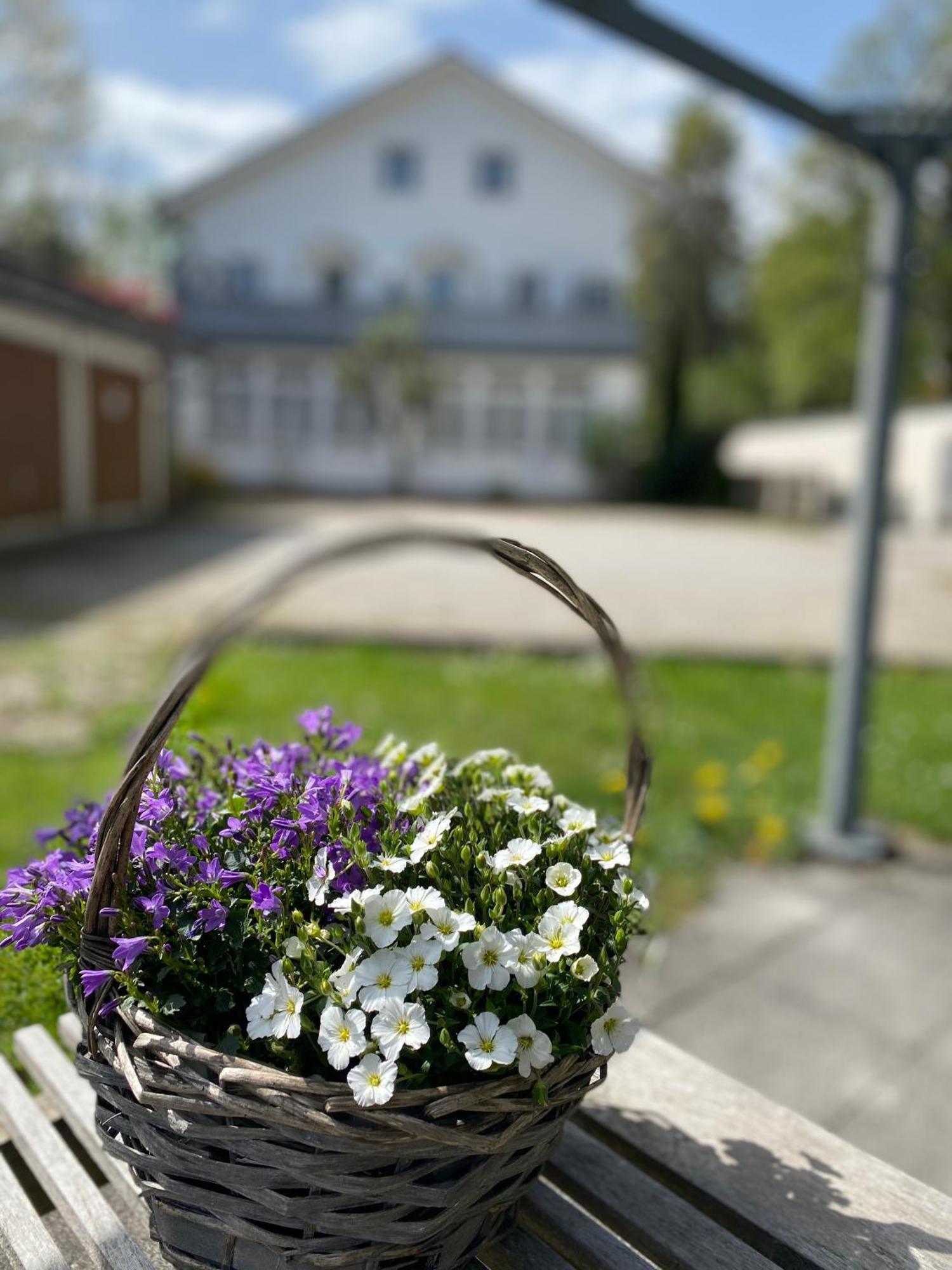 באד טולץ Ferienwohnung Am Franziskanergarten מראה חיצוני תמונה